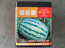 科农春谷蜜