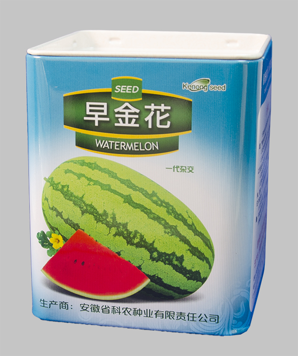 早金花 拷贝.jpg