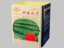 科农九号