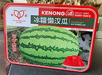 冰糖懒汉瓜