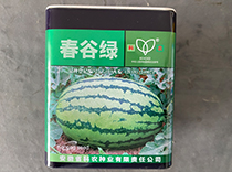 春谷绿