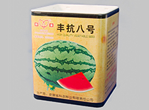 丰抗八号