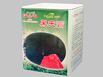 黑天霸