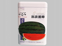 科农黑帅