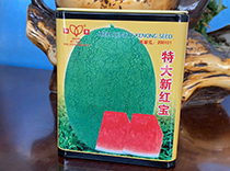 特大新红宝