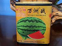 万洲战