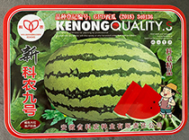 新科农九号