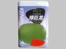 绿巨龙