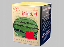 超抗先锋