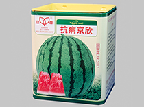抗病京欣
