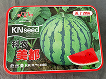 科农美都