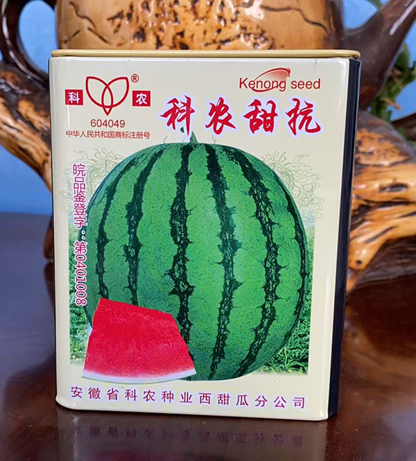 微信图片_20260913131528_71_79 拷贝.jpg