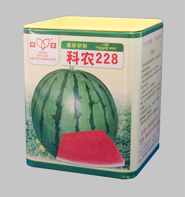 科农228 拷贝.jpg