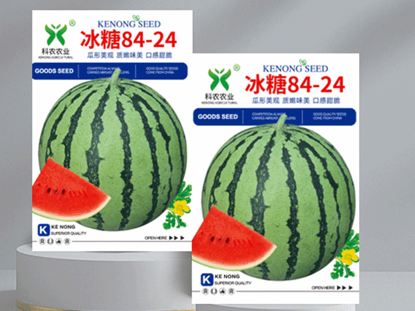 奶香玉2.gif