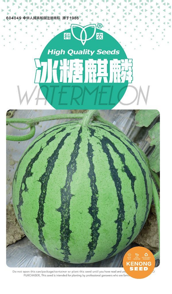 冰糖麒麟_04.jpg