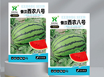 懒汉西农八号