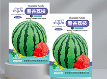 春谷荔枝