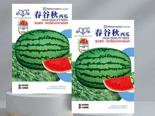 奶香玉2 拷贝.jpg