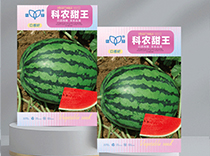 科农甜王