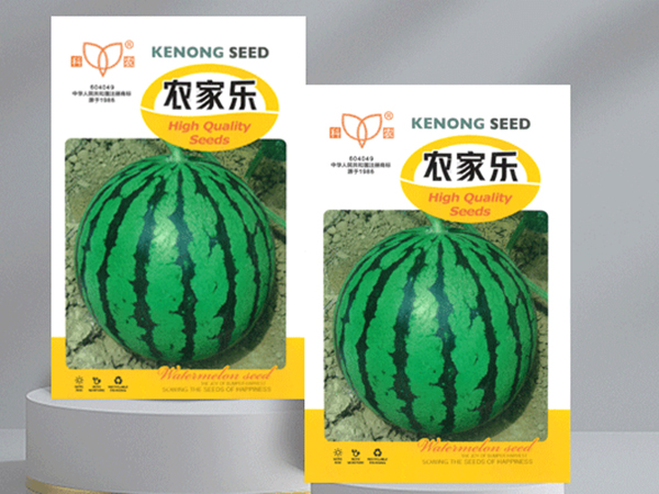 奶香玉2 拷贝.jpg