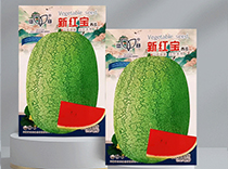 新红宝