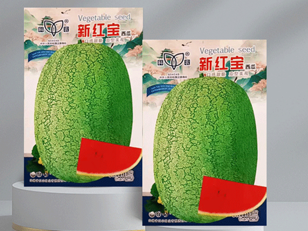 奶香玉2 拷贝.jpg