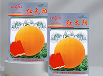 红太阳红瓤