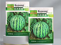 科农美都