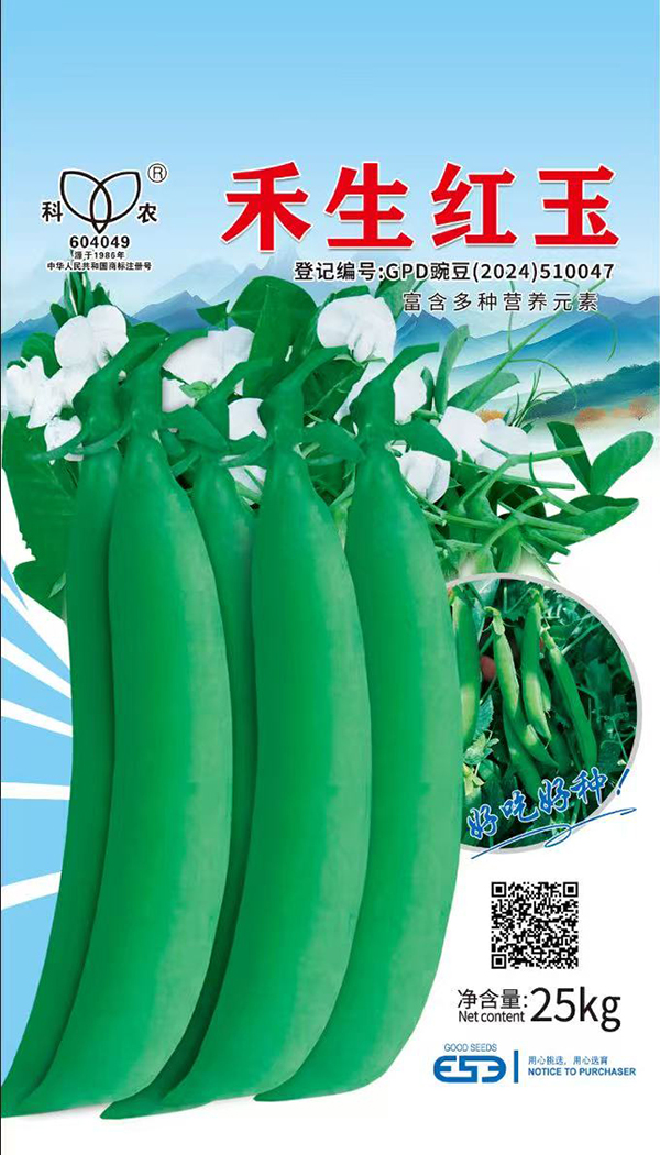禾生红玉 (2).jpg