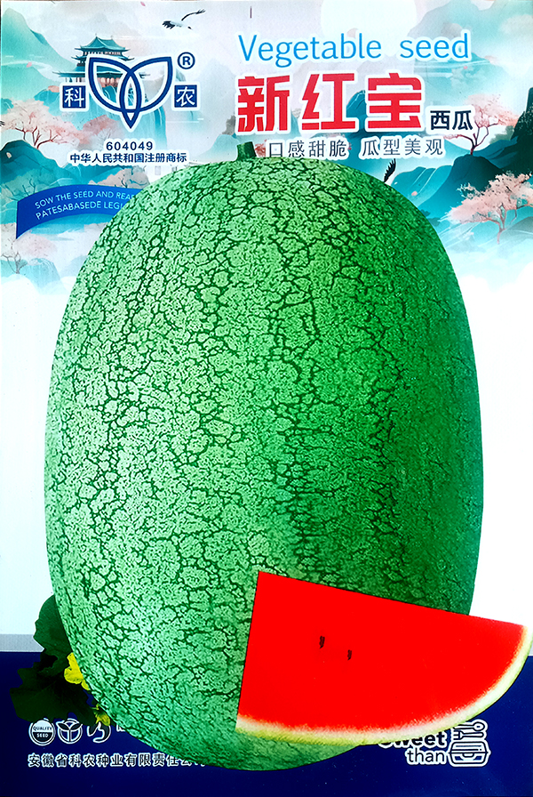 微信图片_20260921104527_60_126 拷贝.jpg