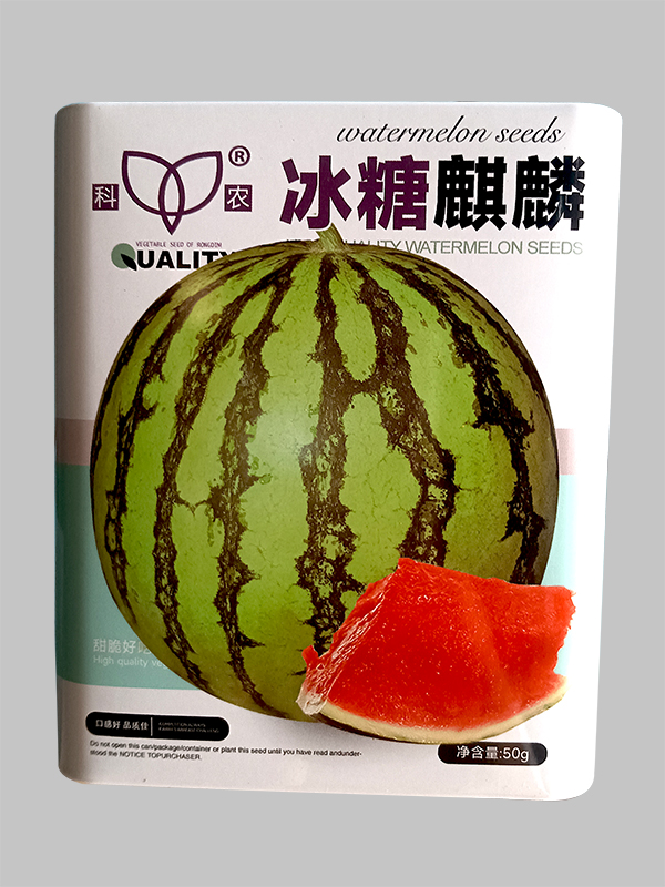 冰糖麒麟 (1) 拷贝 2.jpg